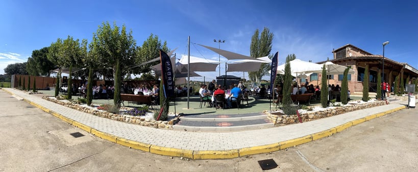 olimpiada-serban-group-2021